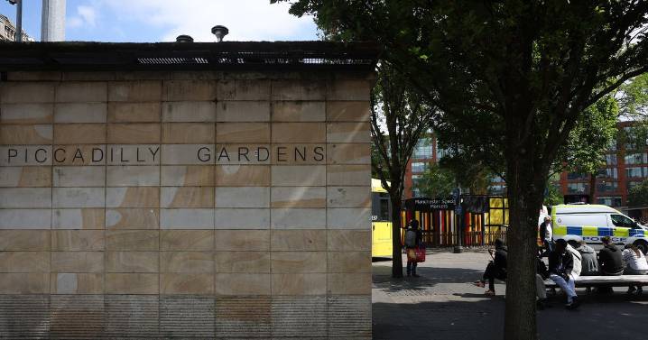 Teenage girl sexually assaulted in Piccadilly Gardens
