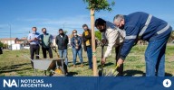 Crece una novedosa forma de solidaridad: donar árboles a los municipios