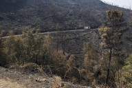 De la evaluación al diseño de montes resilientes al cambio climático: medidas una vez pasado el incendio