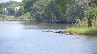 There’s too much waste in the St. Johns River. Local environmental advocates want it cleaned up