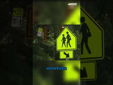 VERIFY: What are the rules for stopping for buses in South Carolina?