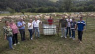 Cerca de 1.400 animales se dan cita en la quinta feria ganadera del Llano de Penagos