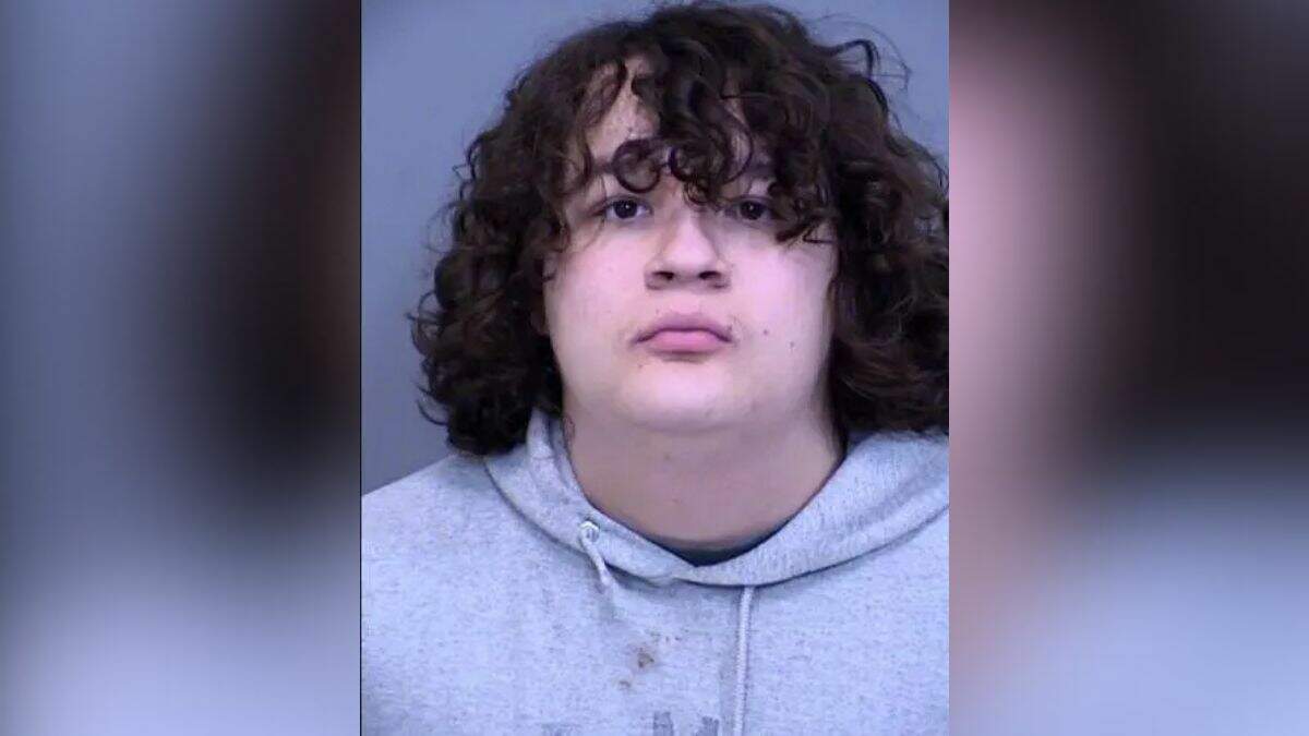 Man Arrested For Striking Child, Her Uncle With Sex Toy At WNBA Game