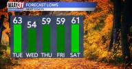 Hints of fall in the air
