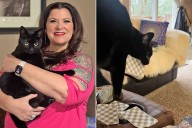 Black Cat Rescue Goes Viral for Doing Tarot Readings (Exclusive)