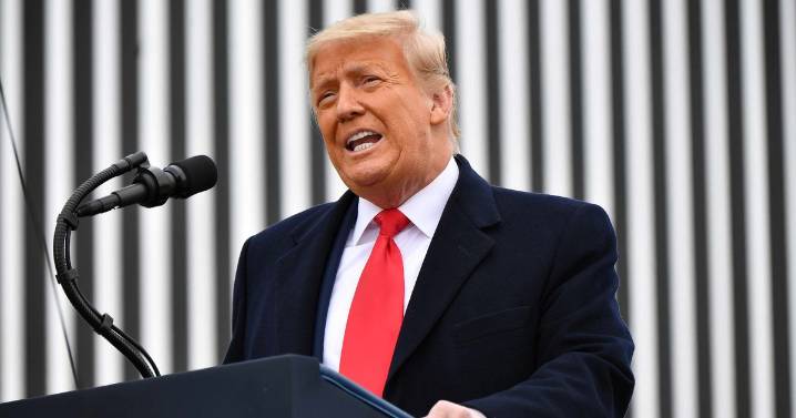 Donald Trump's border wall to get bizarre makeover