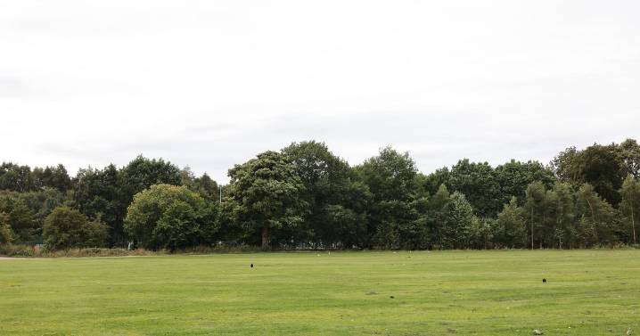 Woman dies in tragedy after being struck by falling branch in UK park
