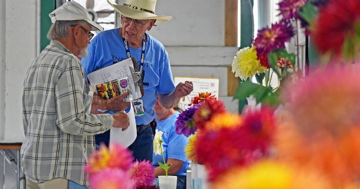Cultivating flower power: Hope blooms in floriculture competition at Northwest Montana Fair and Rodeo