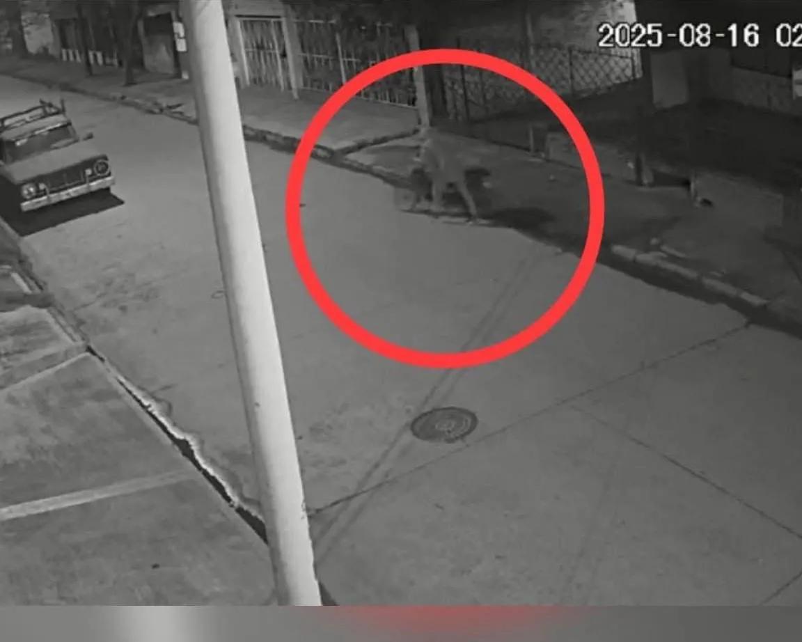 CONCEPCIÓN: DETENIDO TRAS ROBAR UNA MOTO DEL INTERIOR DE UNA VIVIENDA