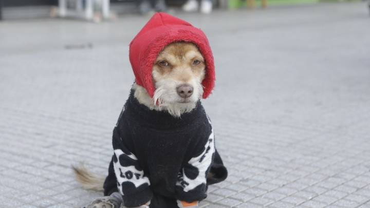 Clima en Neuquén: se viene un sábado con frio y lluvia