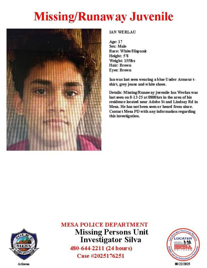 Ian Werlau, 17, missing from Mesa, police say