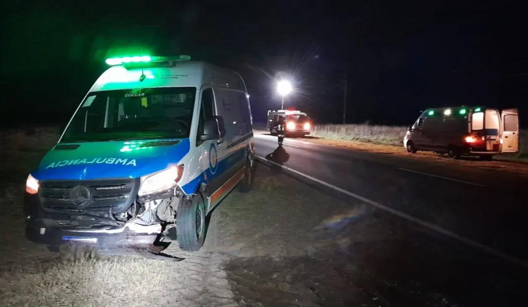 Una ambulancia chocó un ciervo en plena Ruta 12