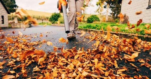 Fall in Love With Your Backyard This Fall