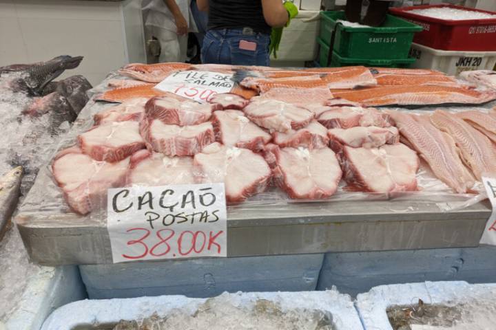 Brazil’s shark meat problem