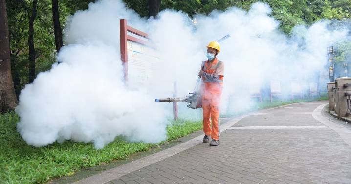 Chikungunya virus: 'Epidemic' fears as China reports 7,000 cases of deadly virus