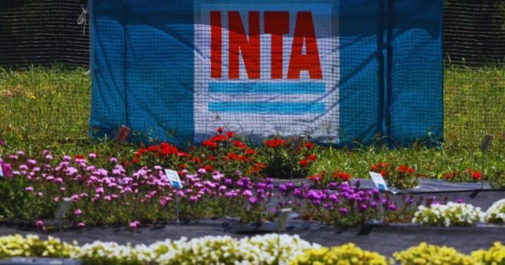 El Gobierno de Javier Milei eliminó una estructura del INTA, pese al rechazo que hubo en Diputados