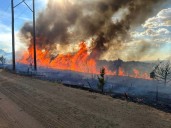 Colorado wildfires: Lee fire continues to grow, now charring more than 60,000 acres