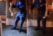 VIDEO: Shark Shows Up At Bird & Betty's During Hurricane Erin