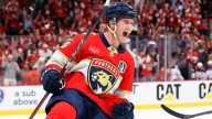 Florida Panthers fantasy rankings, projections for 2025