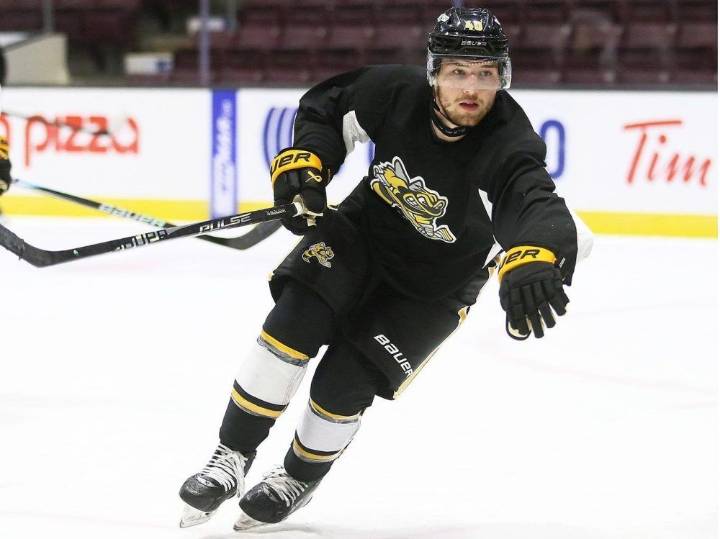 Sarnia Sting lose to London Knights in pre-season opener | Exeter Lakeshore Times Advance