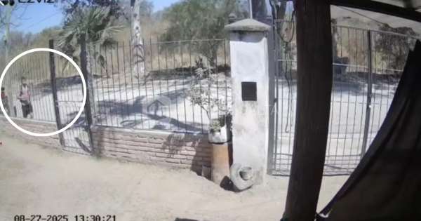 Monstruo le tiró agua hirviendo a una perrita: "Logramos identificar al responsable"