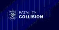 Police Investigate Fatal Collision in Brighton Neighborhood