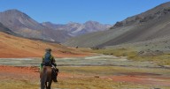 Alcalde, vecinos y arrieros de Putaendo piden protección oficial de valle donde vive el gato andino y acusan que minera intenta impedirlo