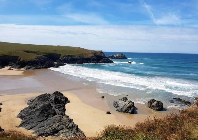 Manhunt for ‘aggressive’ man who chased sheep over cliff to its death in Cornwall