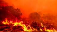 Will more roads in national forests help against wildfires?  : NPR