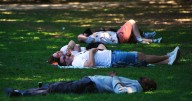 Hour-by-hour forecast as Bristol set to sizzle in 33C heatwave today