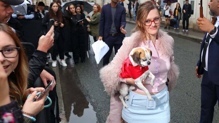 The Dogs of Street Style