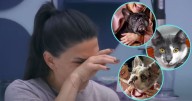 Dalilah Polanco rompe en llanto al recordar a sus mascotas dentro de “La Casa de los Famosos México”