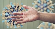 Brote de sarampión en Texas llega a su fin tras 762 casos confirmados en 2025