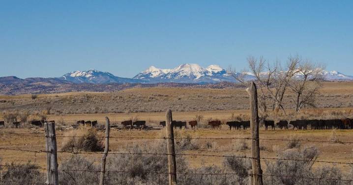 Colorado West Land Trust has conserved 150,000 acres, including large San Miguel County ranch