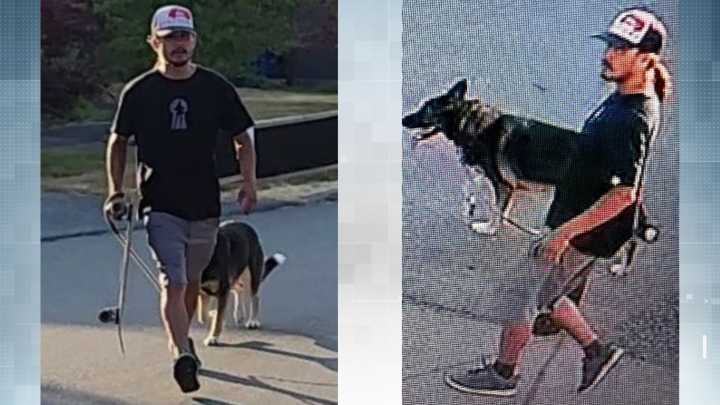 Nanaimo RCMP arrest man who allegedly punched, kicked dog