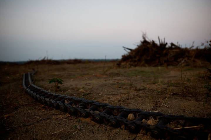 Brazil judge grants injunction against soy moratorium suspension