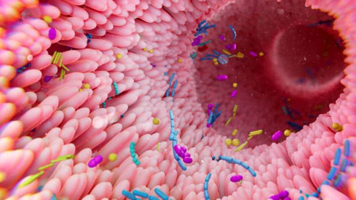 La microbiota intestinal puede ayudar a detectar precozmente el Alzheimer