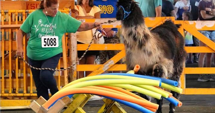 PHOTOS: High steppin' at State Fair