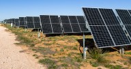 These little robots are changing the way solar farms are built, saving time and money