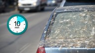 Cómo limpiar de forma sencilla las heces de pájaro de tu auto con este truco