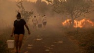 "Desbrozar no sirve, hay que apostar por la ganadería"