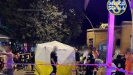 Dos heridos tras la caída de una rama de un árbol en Sevilla