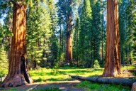 California’s National Park Service Finally Busts Culprits Spewing Toxic Waste In Beloved Park 