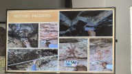 Pinturas rupestres de Coapan son del periodo Posclásico Mesoamericano