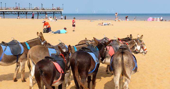 American woman visits Skegness for first time and sums it up in one word