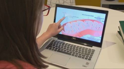 Tips on how to buy your student a laptop at a fraction of the price