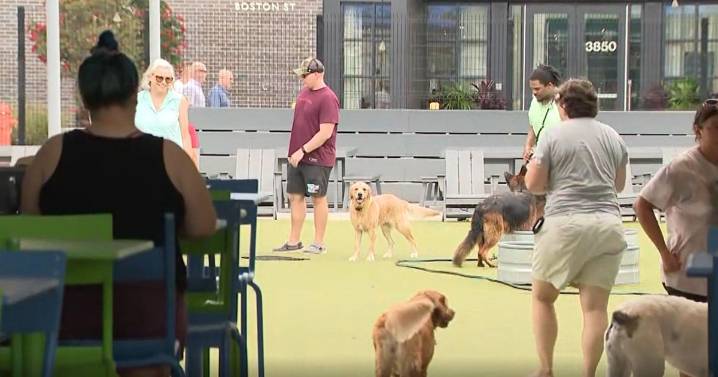 Bark Social, a dog-friendly bar in Baltimore, reopens under new ownership after abrupt closure