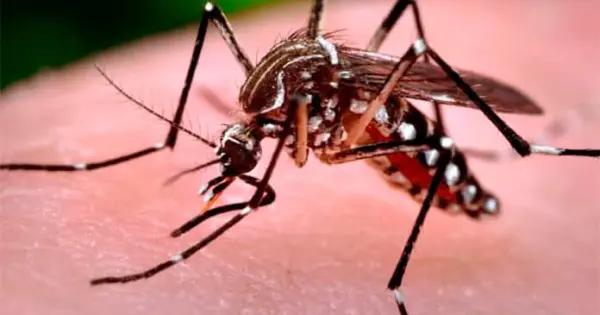 Arranca campaña contra el dengue