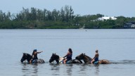Water quality health advisory issued for Palma Sola Beach in Manatee