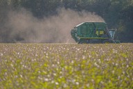 Cotton groups set Georgia info meetings about Farm Bill
